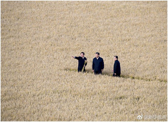 海利集團(tuán),長沙殺蟲劑,長沙光氣衍生物,長沙氨基酸保護(hù)劑,長沙鋰離子電池材料