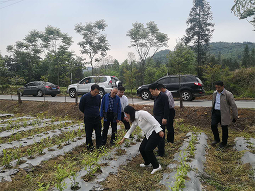 海利集團(tuán),長沙殺蟲劑,長沙光氣衍生物,長沙氨基酸保護(hù)劑,長沙鋰離子電池材料