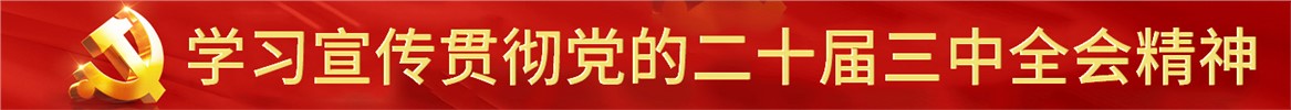 學(xué)習(xí)宣傳貫徹黨的二十屆三中全會(huì)精神